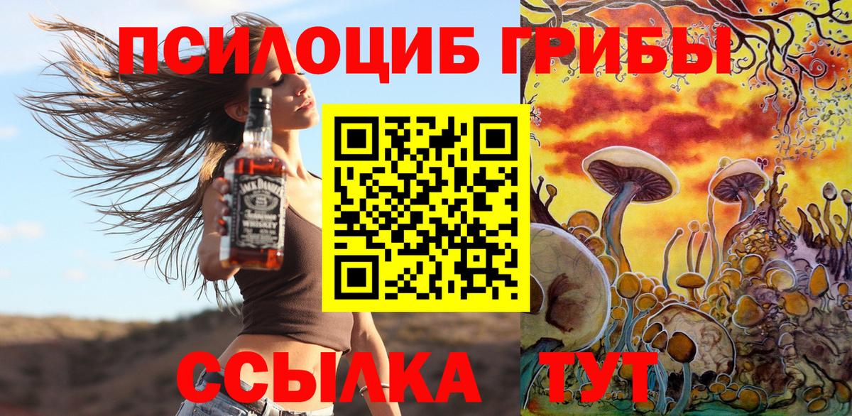 Галлюциногенные грибы MAGIC MUSHROOMS  продажа наркотиков  Абинск  Вход с VPN 